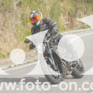 thumb_FF105965