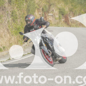 thumb_FF105969-1