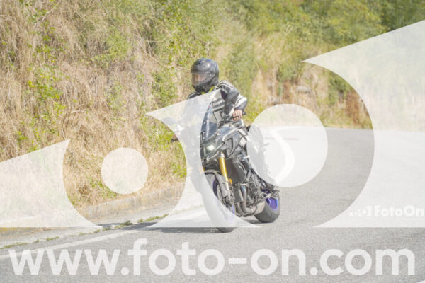 <h1 class="product-title">thumb_FF105973</h1>