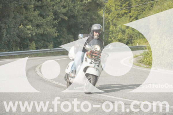 <h1 class="product-title">thumb_FF105986</h1>