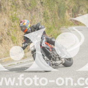 thumb_FF105987-1