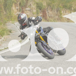 thumb_FF105988