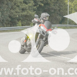 thumb_FF105991