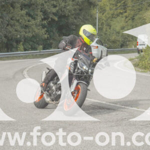 thumb_FF105997-1