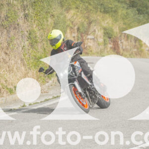 thumb_FF106003