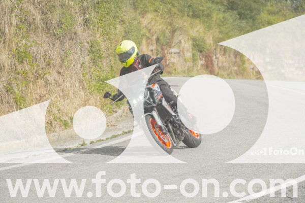 <h1 class="product-title">thumb_FF106003</h1>