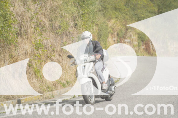 <h1 class="product-title">thumb_FF106008-1</h1>