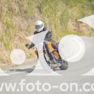 thumb_FF106008