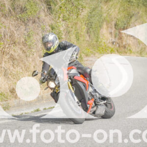 thumb_FF106037