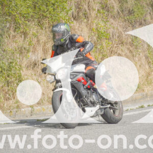thumb_FF106038