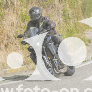 thumb_FF106044