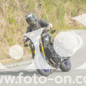 thumb_FF106048