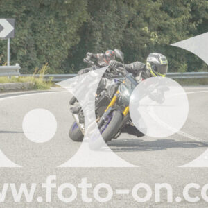 thumb_FF106054