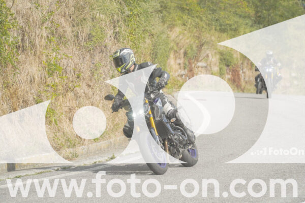 <h1 class="product-title">thumb_FF106061</h1>
