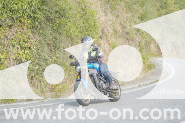 <h1 class="product-title">thumb_FF106069</h1>