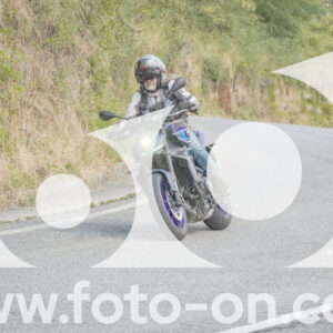 thumb_FF106071