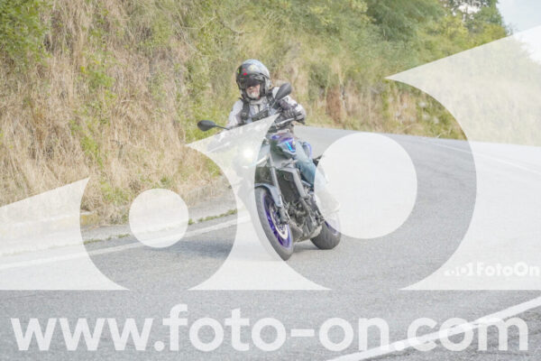 <h1 class="product-title">thumb_FF106071</h1>