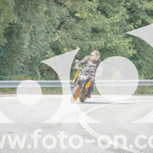 thumb_FF106074
