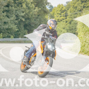 thumb_FF106076