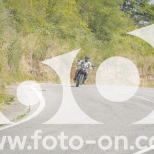 thumb_FF106094