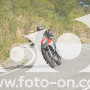 thumb_FF106095