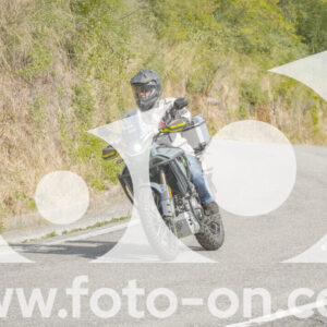 thumb_FF106096