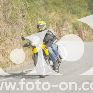 thumb_FF106097-1