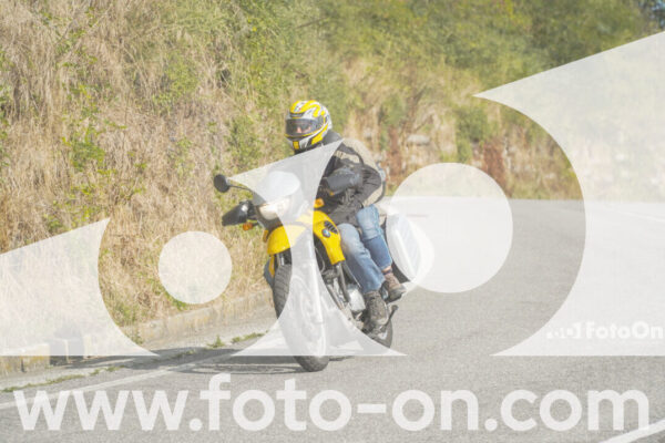 <h1 class="product-title">thumb_FF106097-1</h1>