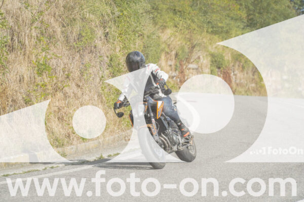 <h1 class="product-title">thumb_FF106133-1</h1>