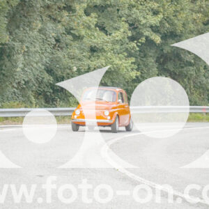 thumb_FF106142