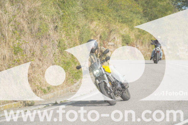 <h1 class="product-title">thumb_FF106146-1</h1>