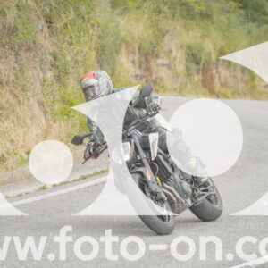 thumb_FF106167