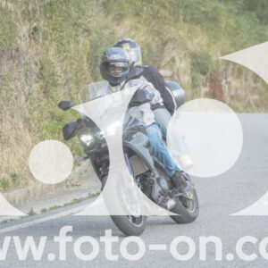 thumb_FF106184