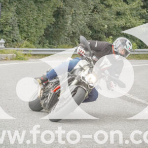 thumb_FF106196