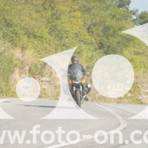 thumb_FF106197