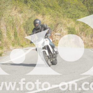 thumb_FF106213