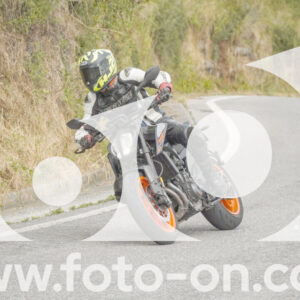 thumb_FF106231