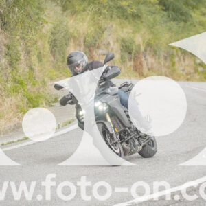thumb_FF106233