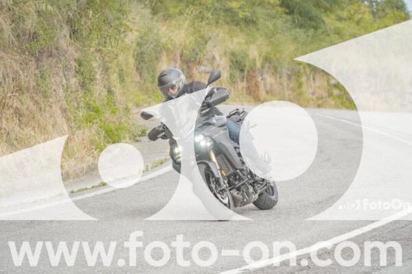 <h1 class="product-title">thumb_FF106233</h1>