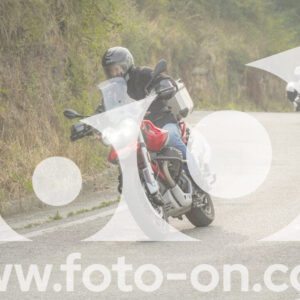 thumb_FF106251