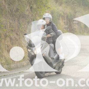 thumb_FF106255
