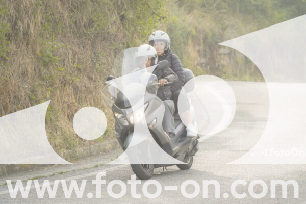 <h1 class="product-title">thumb_FF106255</h1>