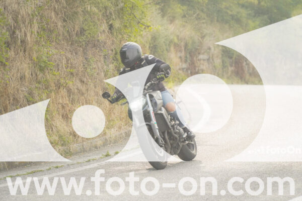 <h1 class="product-title">thumb_FF106258-1</h1>