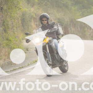 thumb_FF106261