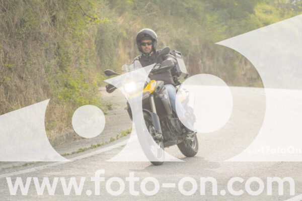 <h1 class="product-title">thumb_FF106261</h1>