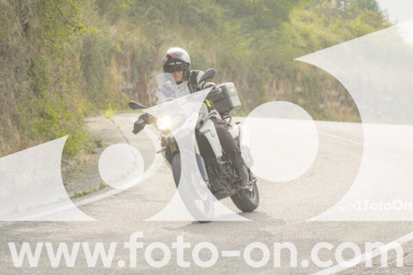 <h1 class="product-title">thumb_FF106262</h1>
