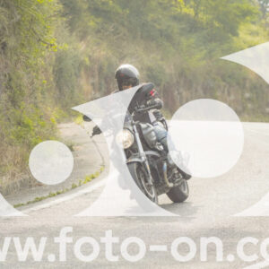 thumb_FF106268-1