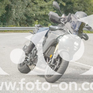 thumb_FF106279