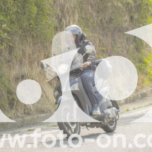 thumb_FF106299