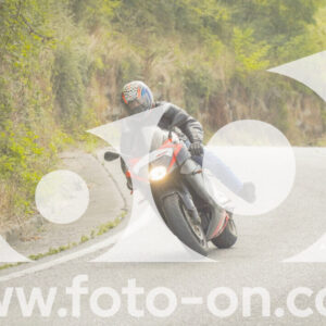 thumb_FF106337